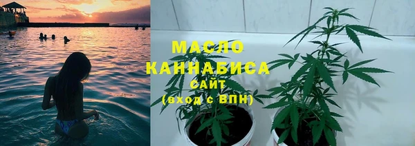 сатива Горняк