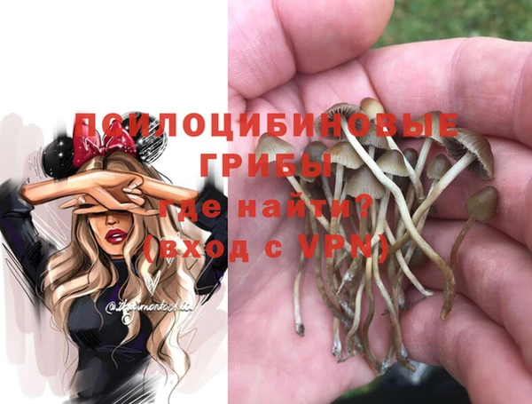 мескалин Алексин