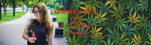 СК Алзамай