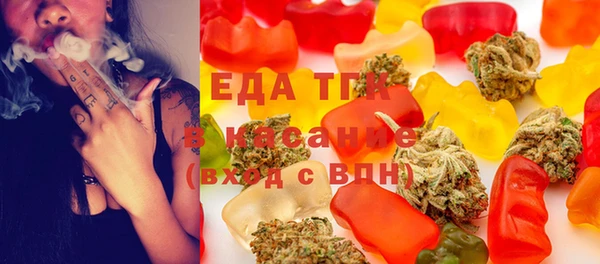 соль ск Дмитриев